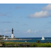 Terry Altman's photo