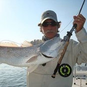 Lance David Davis's photo