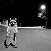 Jullien Sebastien's photo