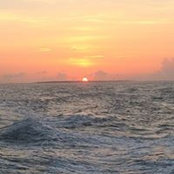 Greg Herring's photo