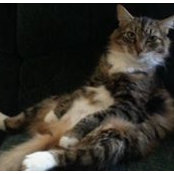 Cindy McKernan's photo