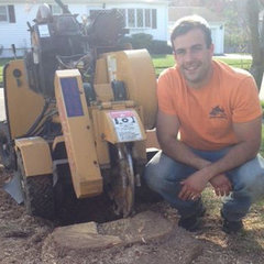 Stump Shark Stump Grinding