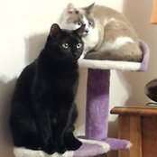 Nath Alie's photo