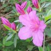 Jessica Abbott Arnold's photo