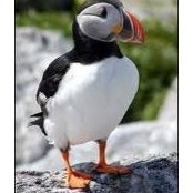 Helen Sinclair's photo