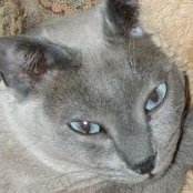 Janet Rebman's photo