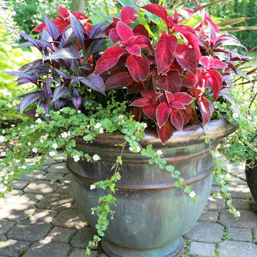 Seasonal Display