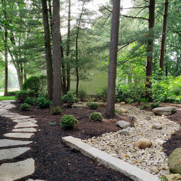 Wooded Oasis Overhaul
