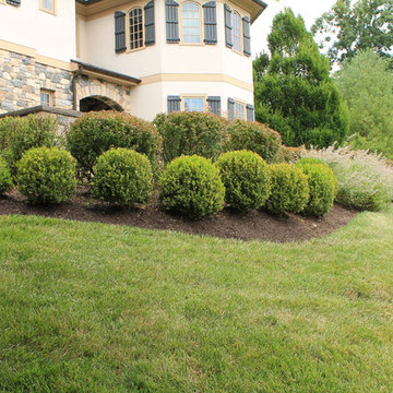 Landscape Design