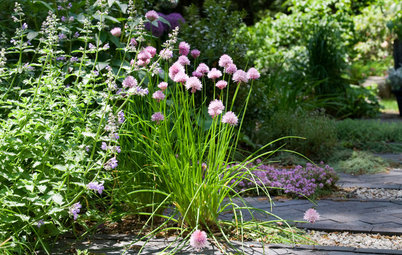 8 Surefire Vegetables and Herbs for Beginning Gardeners