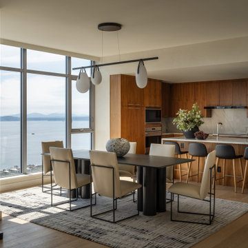 Seattle South Lake Union High Rise Condo