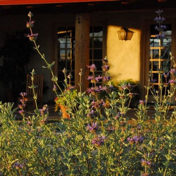 Santa Ynez Organic Ranch