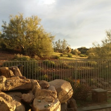 The Artificial Rock in foreground view of the desert