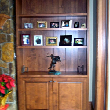 Rustic Family Room Book Shelf/ Display Cabinet
