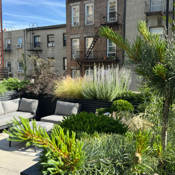 Carroll Gardens Rooftop Terrace