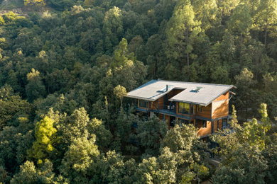 The Villa in the Woods