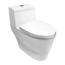 One Piece Toilet