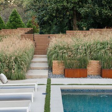 Mid-Century Renovation
