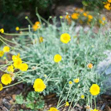2017 Native Plant Garden Tour