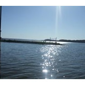 Sandy Roberts's photo