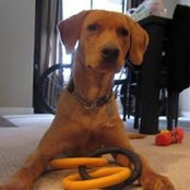 Mike Nash's photo