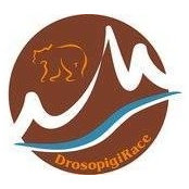 Foto von Drosopigi Race