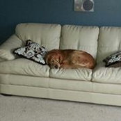 Derek Bond's photo