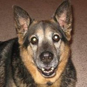 Brandy Hazlett's photo