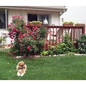 Maryann Tronchetti's photo