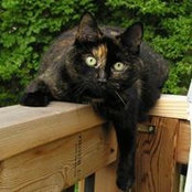 Michelle Murphy's photo