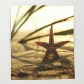 Carole Rossi's photo