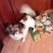 Jenny Neckermann's photo