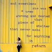 AshLeigh Saunders's photo