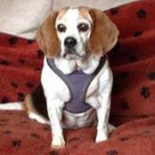 LeAnne Gilkerson's photo