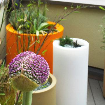 Vibrant Roof Terrace in Leeds City Centre