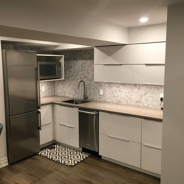 Basement Remodel