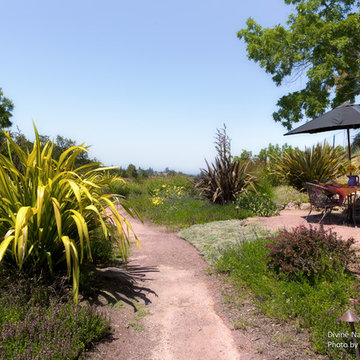 Los Altos, Ca | Divine Nature Landscape Design | Slice of Heaven