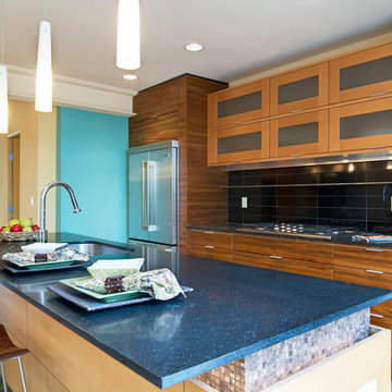 Contemporary Kitchens
