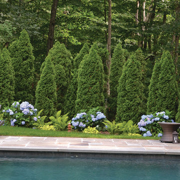 Elegant Poolscape