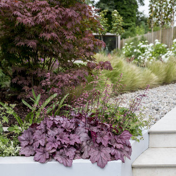 A contemporary curved designer garden