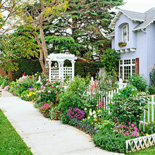 sidewalk perennial border