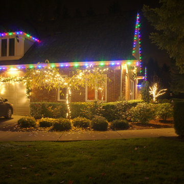 Holiday Light in Woodinville