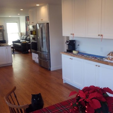Kitchen Remodel Bartlett, IL