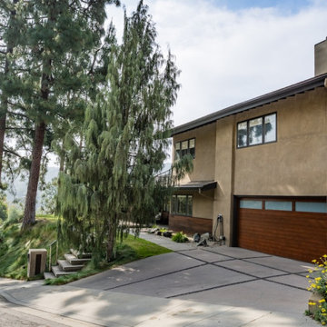 Mountain View Modern Landscape