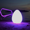 Genesis LED 12" Egg