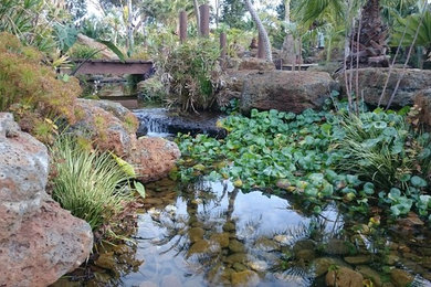 Inspiration for a large tropical backyard custom-shaped natural pool in Melbourne with natural stone pavers.