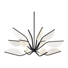 light fixtures