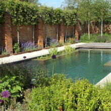 Natural Pool