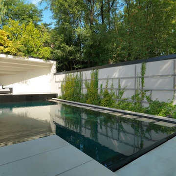 Modern Clean Lines