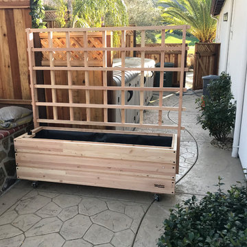 LIVING WALLS / PRIVACY SCREENS